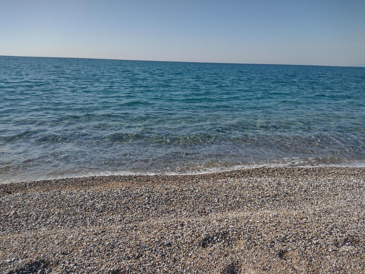 Raphale * Preveza