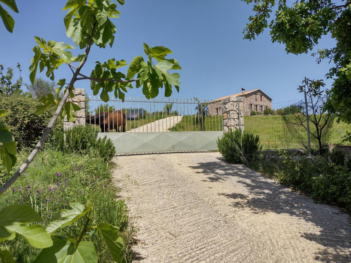 Raphale Holiday home